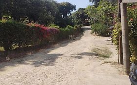 Casinha no Sítio